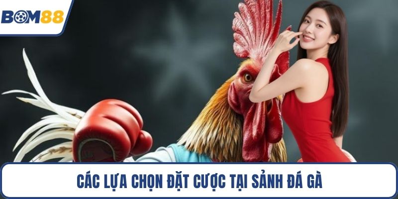 Các lựa chọn đặt cược tại sảnh đá gà