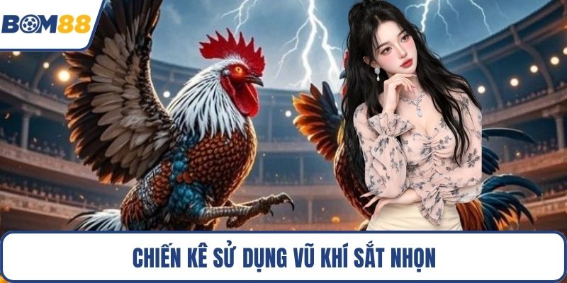 Chiến kê sử dụng vũ khí sắt nhọn