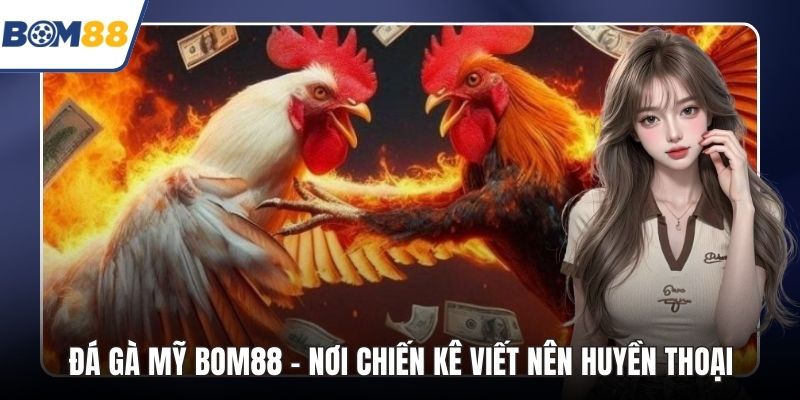 Đá Gà Mỹ Bom88