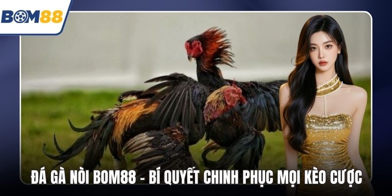 Đá Gà Nòi Bom88