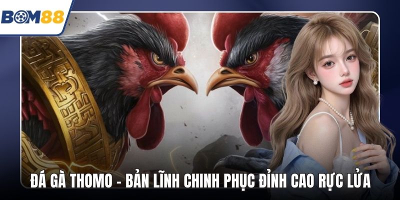 Đá Gà Thomo