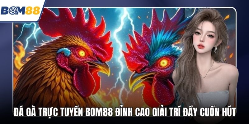 Đá Gà Trực Tuyến Bom88