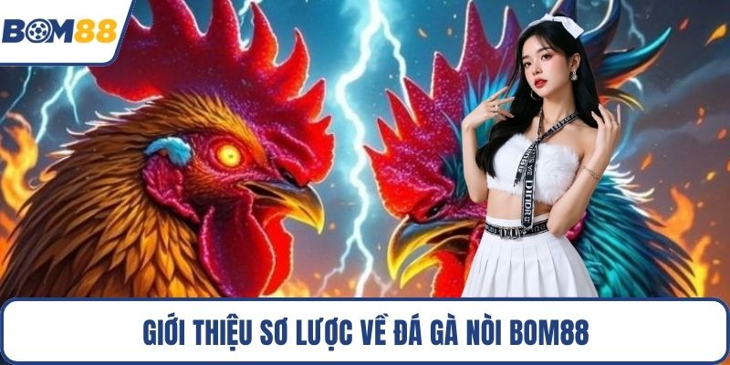 Giới thiệu sơ lược về đá gà nòi Bom88