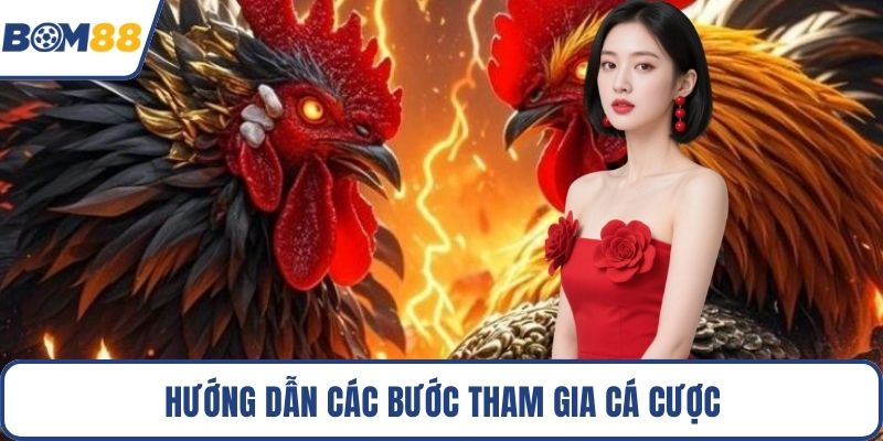 Hướng dẫn các bước tham gia cá cược
