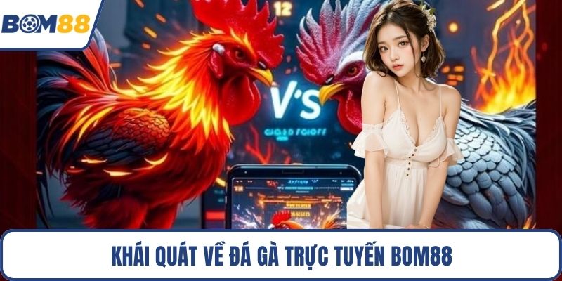 Khái quát về đá gà trực tuyến Bom88