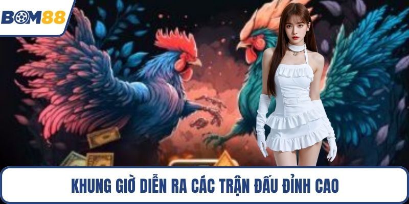 Khung giờ diễn ra các trận đấu đỉnh cao