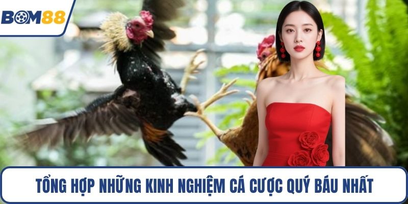 Tổng hợp những kinh nghiệm cá cược quý báu nhất